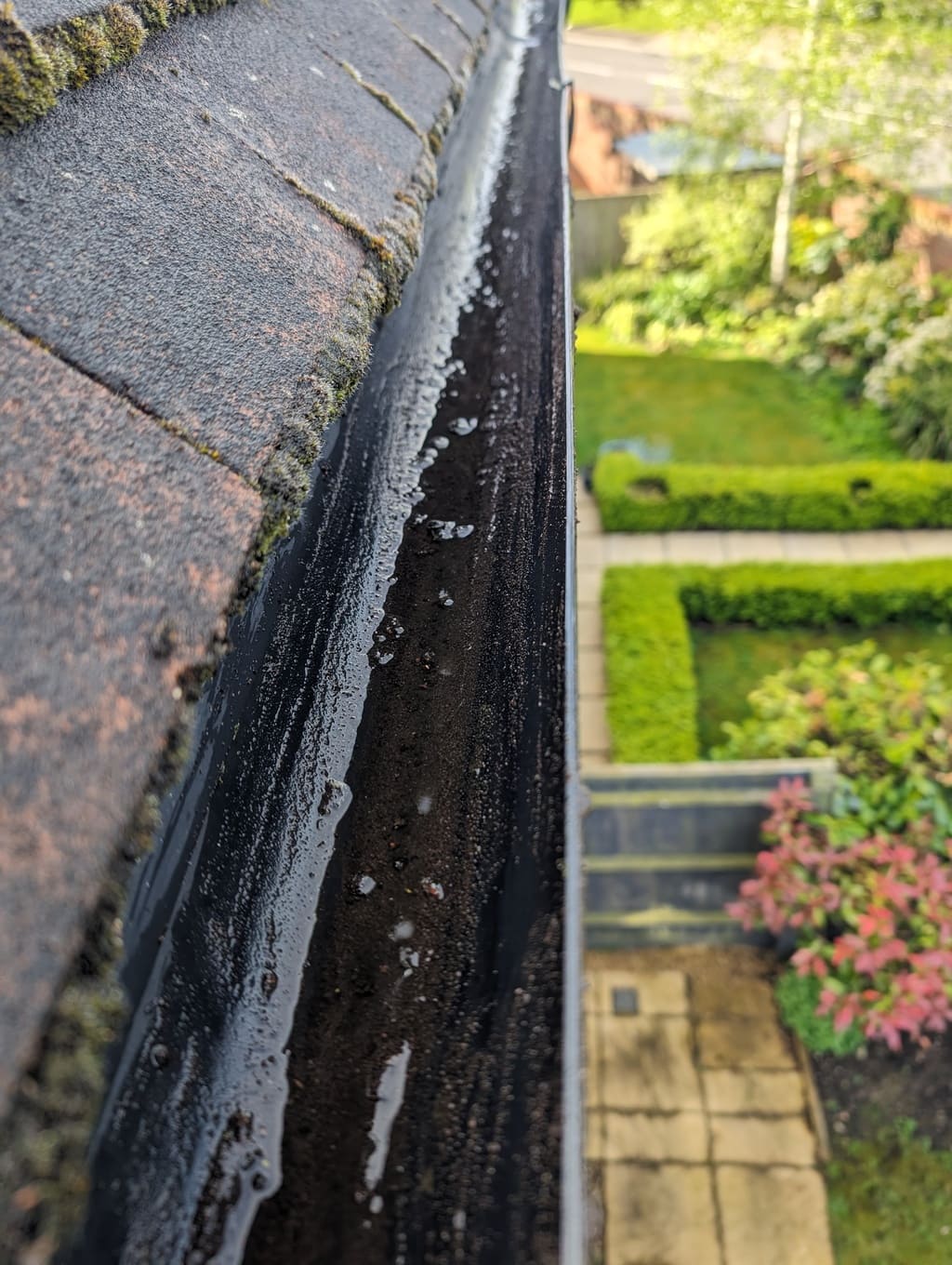 Plants growing out of the gutters on a Chinnor home before cleaning